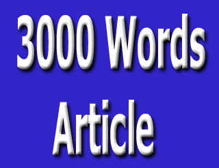 3000 words article