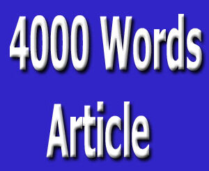 4000 words article